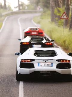 lp700-4, white, three, black, lamborghini aventador, road, mix, trees, red