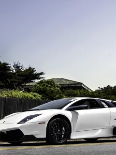 murcielago, белый, lp670-4 sv, мурсиэлаго, lamborghini, ламборгини, white