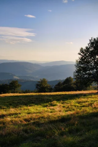 небо, облака, солнечные лучи, холмы, трава, деревья