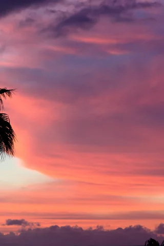 облака, tenerife, sunset, краски, закат, тенерифе, небо, пальма