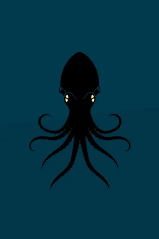 осьминог, животное, octopus