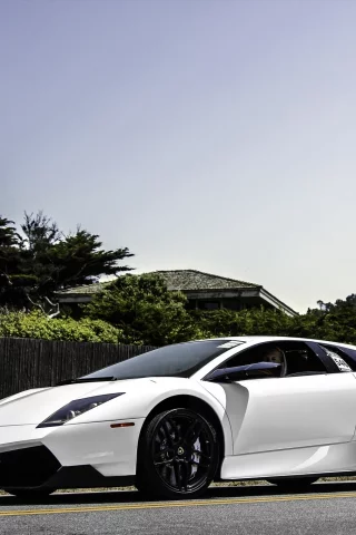 murcielago, белый, lp670-4 sv, мурсиэлаго, lamborghini, ламборгини, white