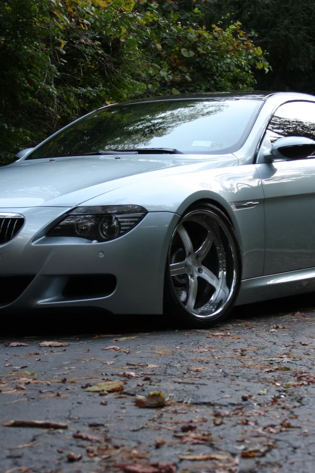 silvery, road, bmw, серебристый, бмв, wheels, e63, отражение, m6, диски