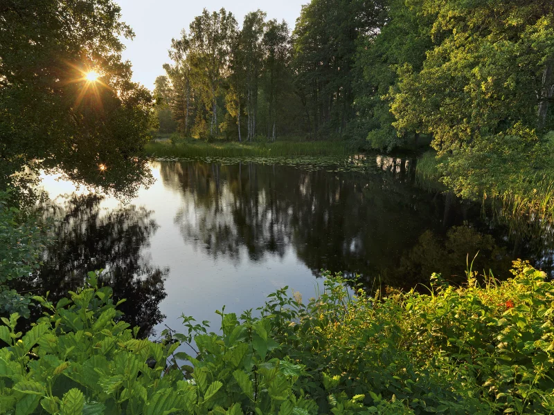 лес, n__rke, озеро, sweden, деревья, svart__, швеция