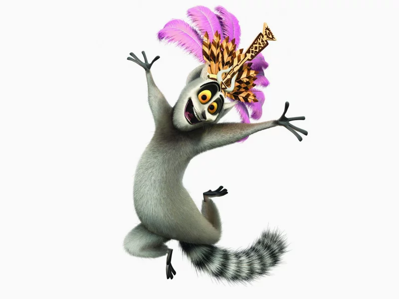 madagascar, джулиан, мадагаскар, белый фон, кошачий лемур