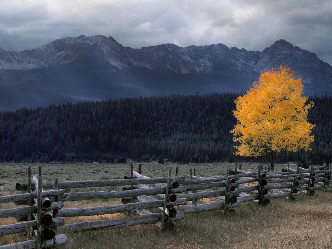 тучи, горы, nature, природа, лес, ограждение, осень, бревна, пасмурно, бревно, дерево, поляна, забор, местность, пейзаж