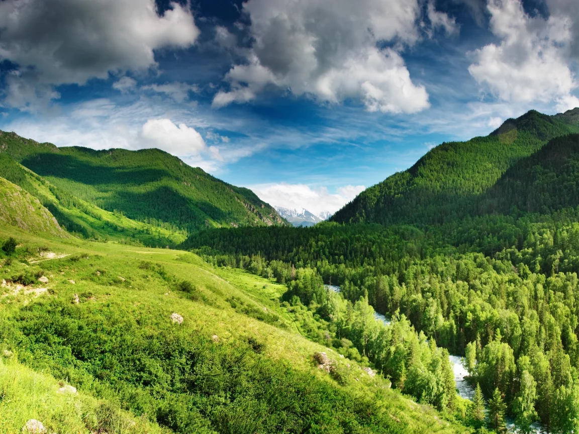 река, лес, небо, горы, голубое, green highlands, облака