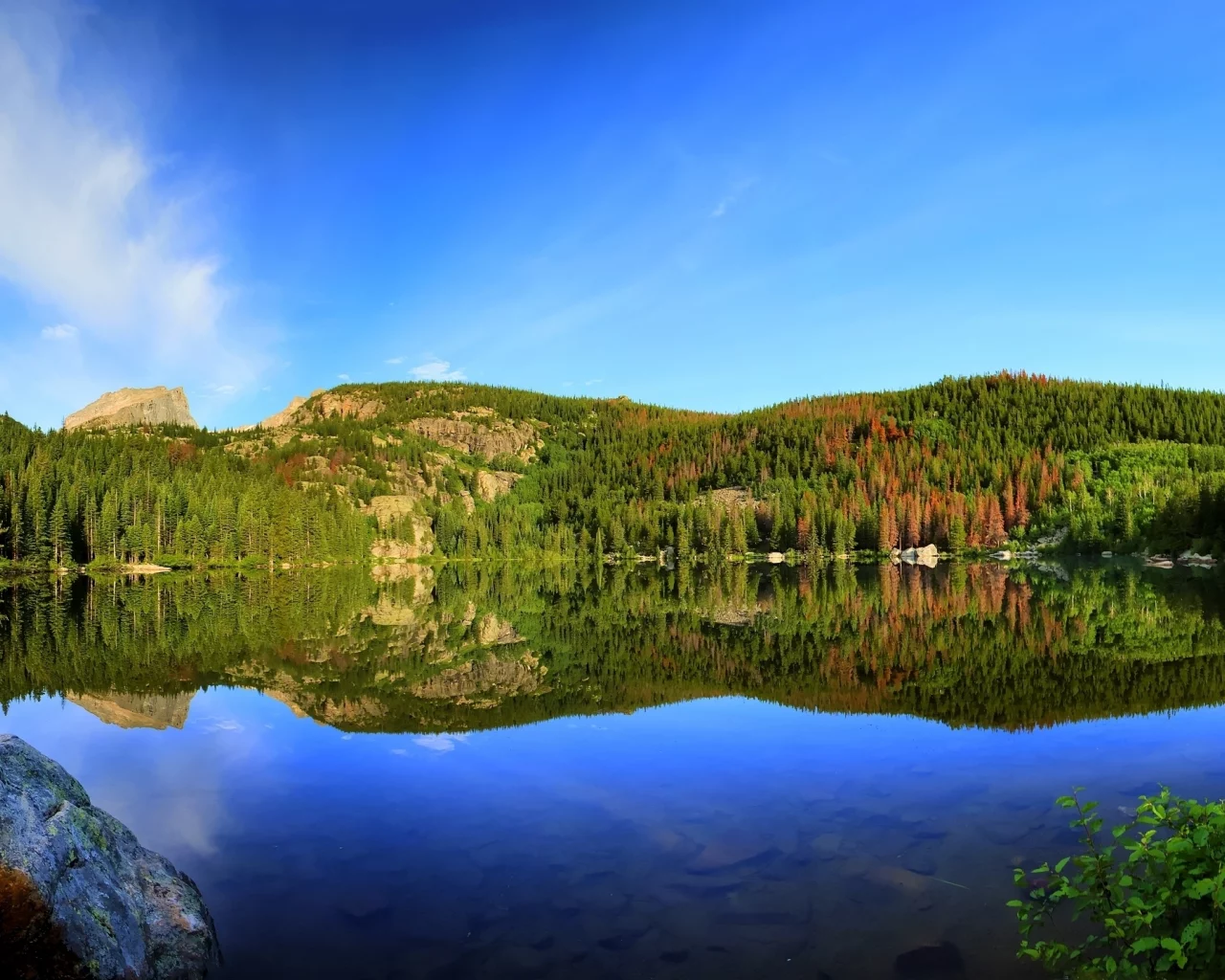 природа, озеро, лес, reflection, отражение, bear lake