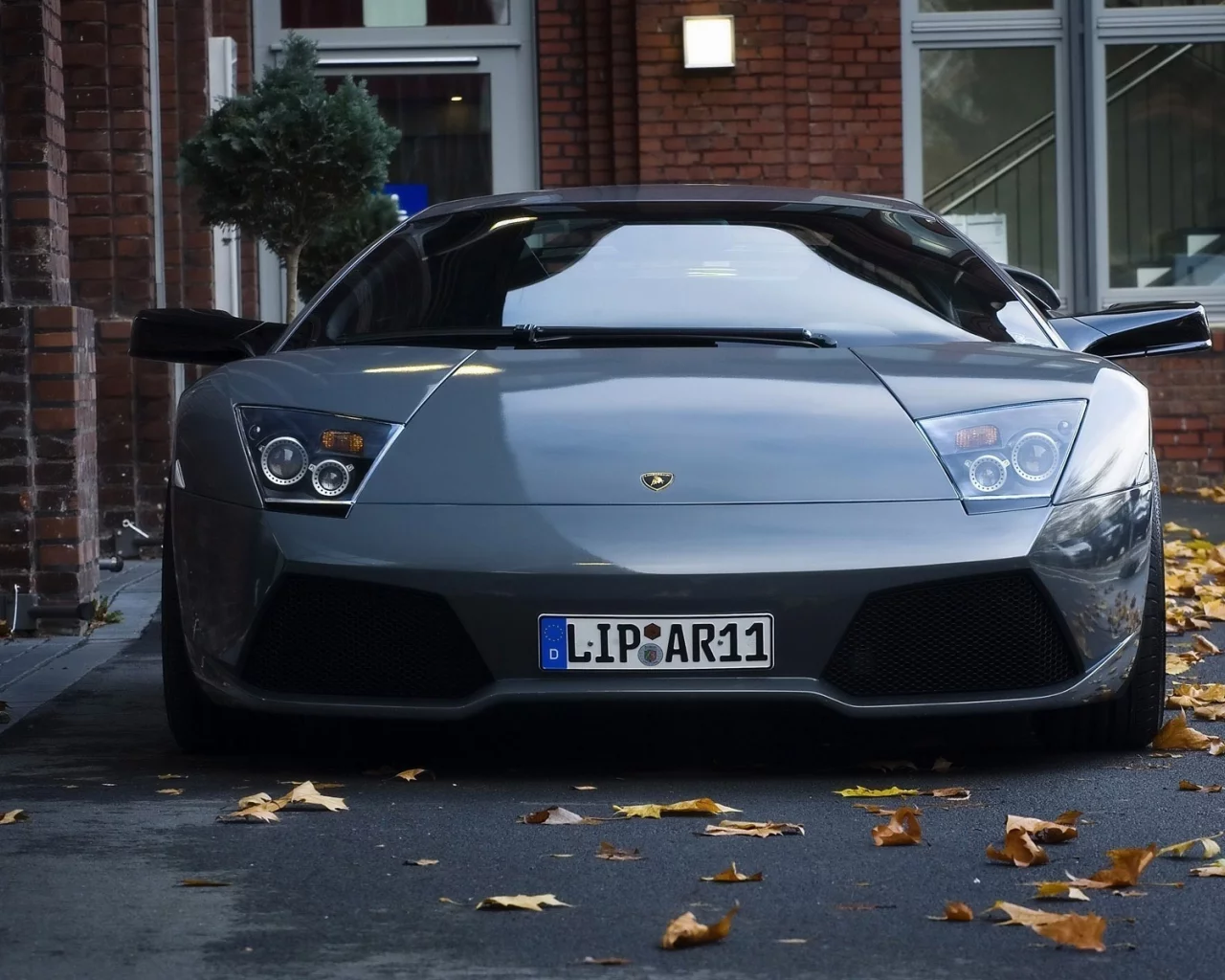 car, revenge, листья, город, lamborghini