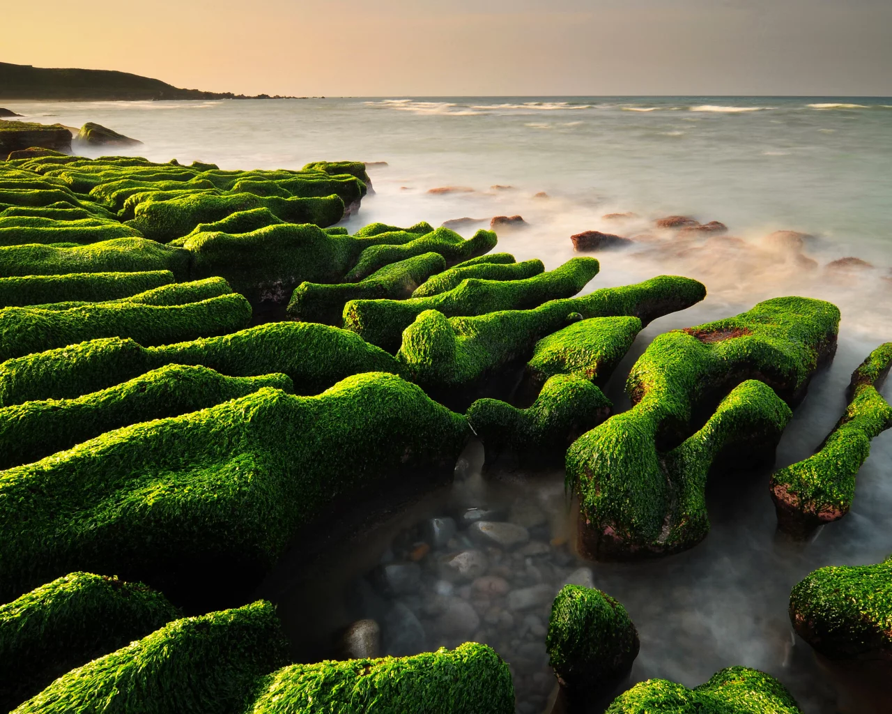 камни, водоросли, море