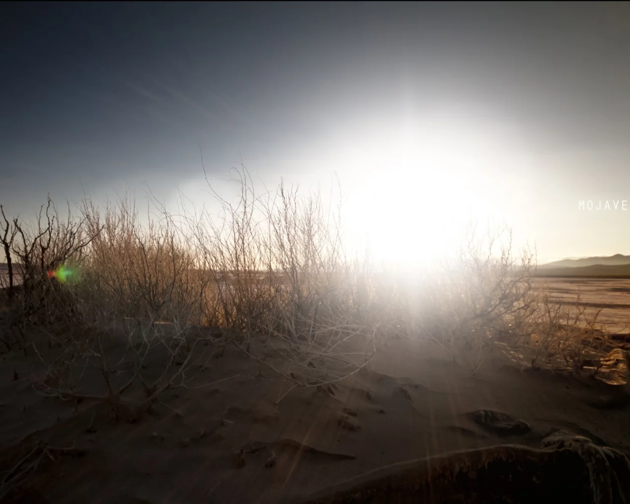пустыня, кустарник, mojave sunset, солнце, песок, надпись, небо, закат в мохаве
