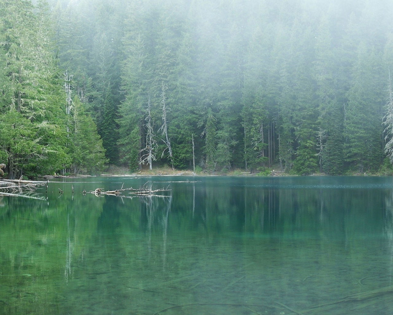 Озеро в лесу прическа