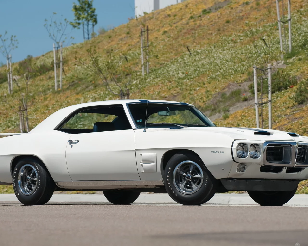 firebird, pontiac, 1969, белый, trans am, мощь