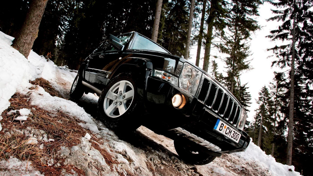 commander, лес, снег, jeep, деревья
