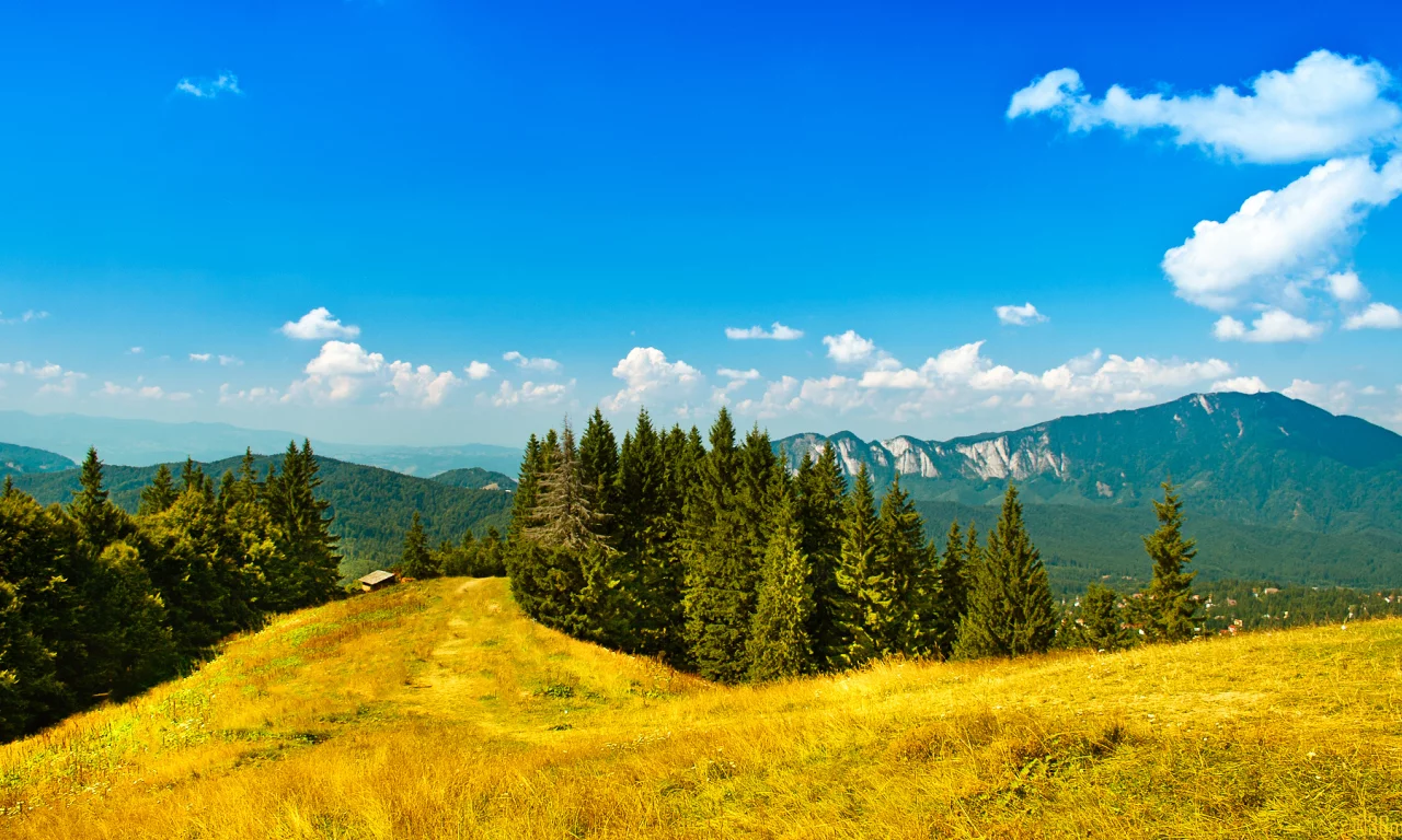 sky, пейзаж, trees, landscape, деревья, 1920x1080, зелень, облака, nature, трава, небо, mountains, greenery, лес, clouds, природа, grass, горы, forest