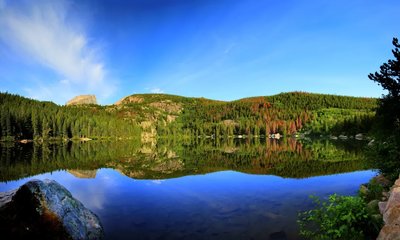 природа, озеро, лес, reflection, отражение, bear lake