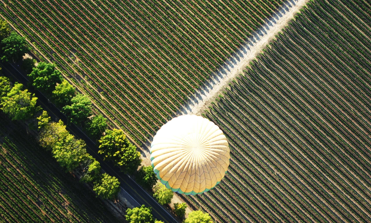 вид сверху, air baloon, baloon, поле, полет, воздушный шар, дорога