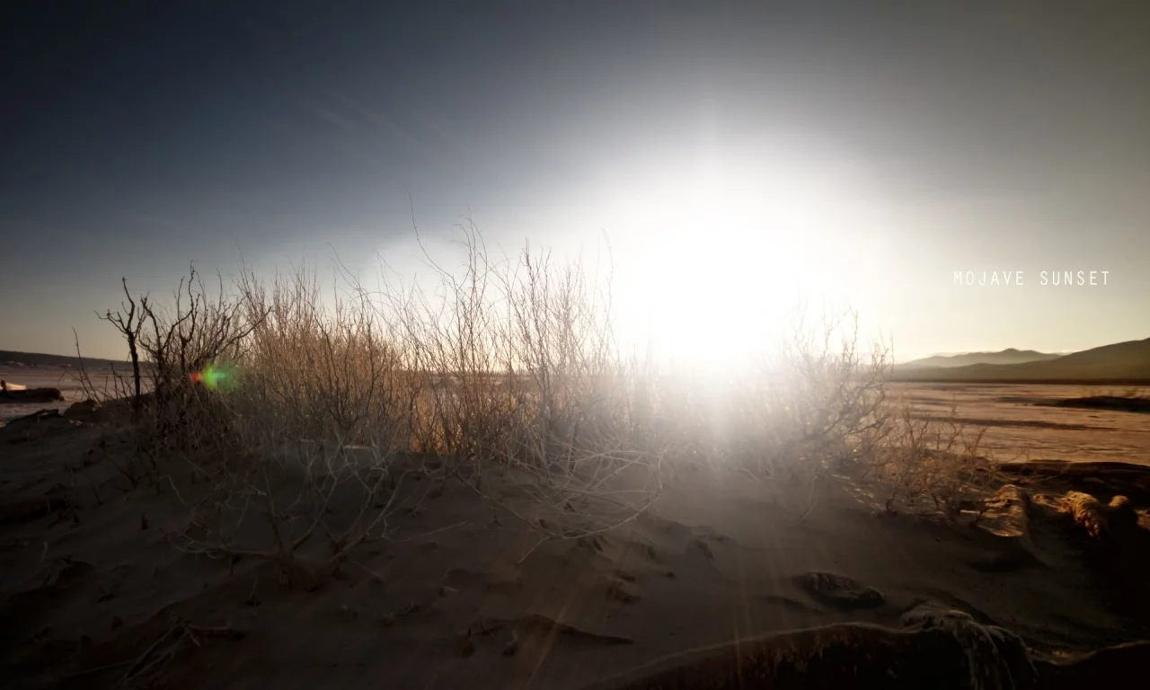 пустыня, кустарник, mojave sunset, солнце, песок, надпись, небо, закат в мохаве