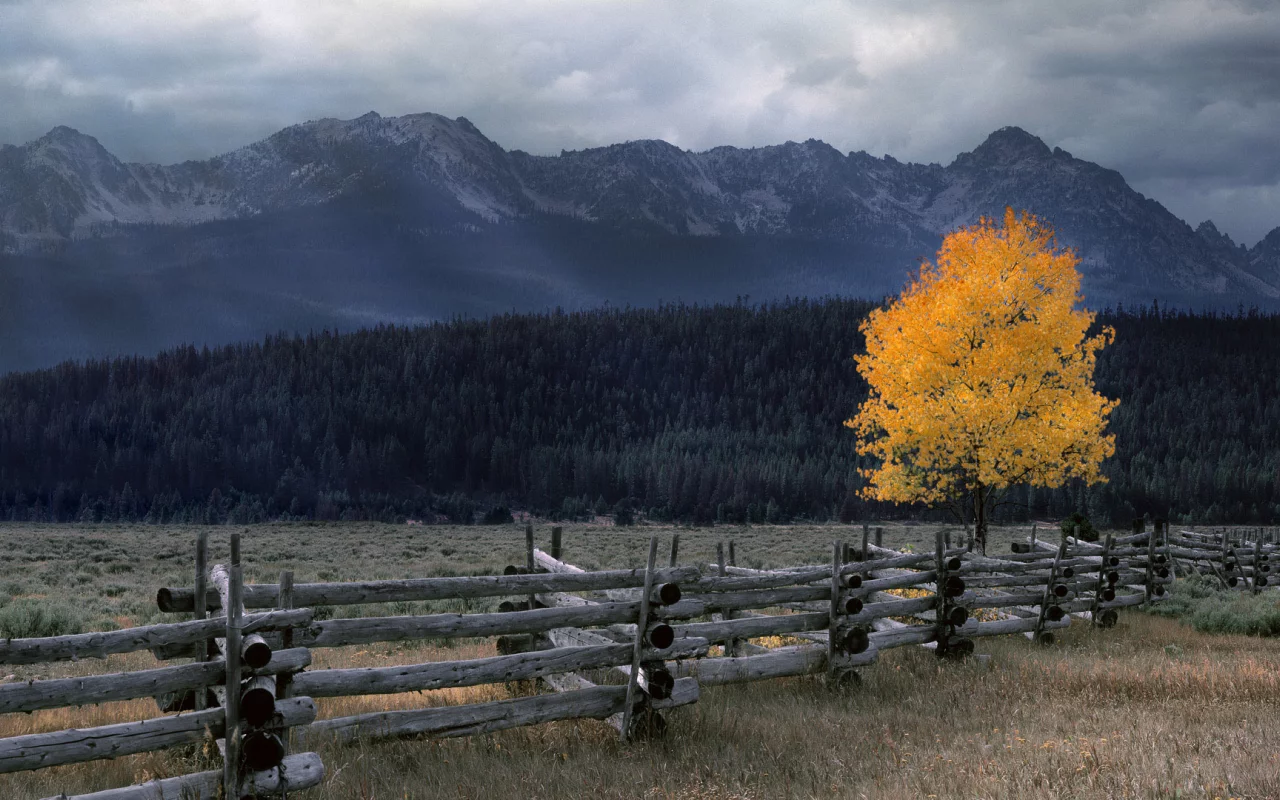 тучи, горы, nature, природа, лес, ограждение, осень, бревна, пасмурно, бревно, дерево, поляна, забор, местность, пейзаж