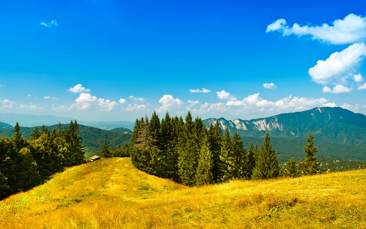 sky, пейзаж, trees, landscape, деревья, 1920x1080, зелень, облака, nature, трава, небо, mountains, greenery, лес, clouds, природа, grass, горы, forest