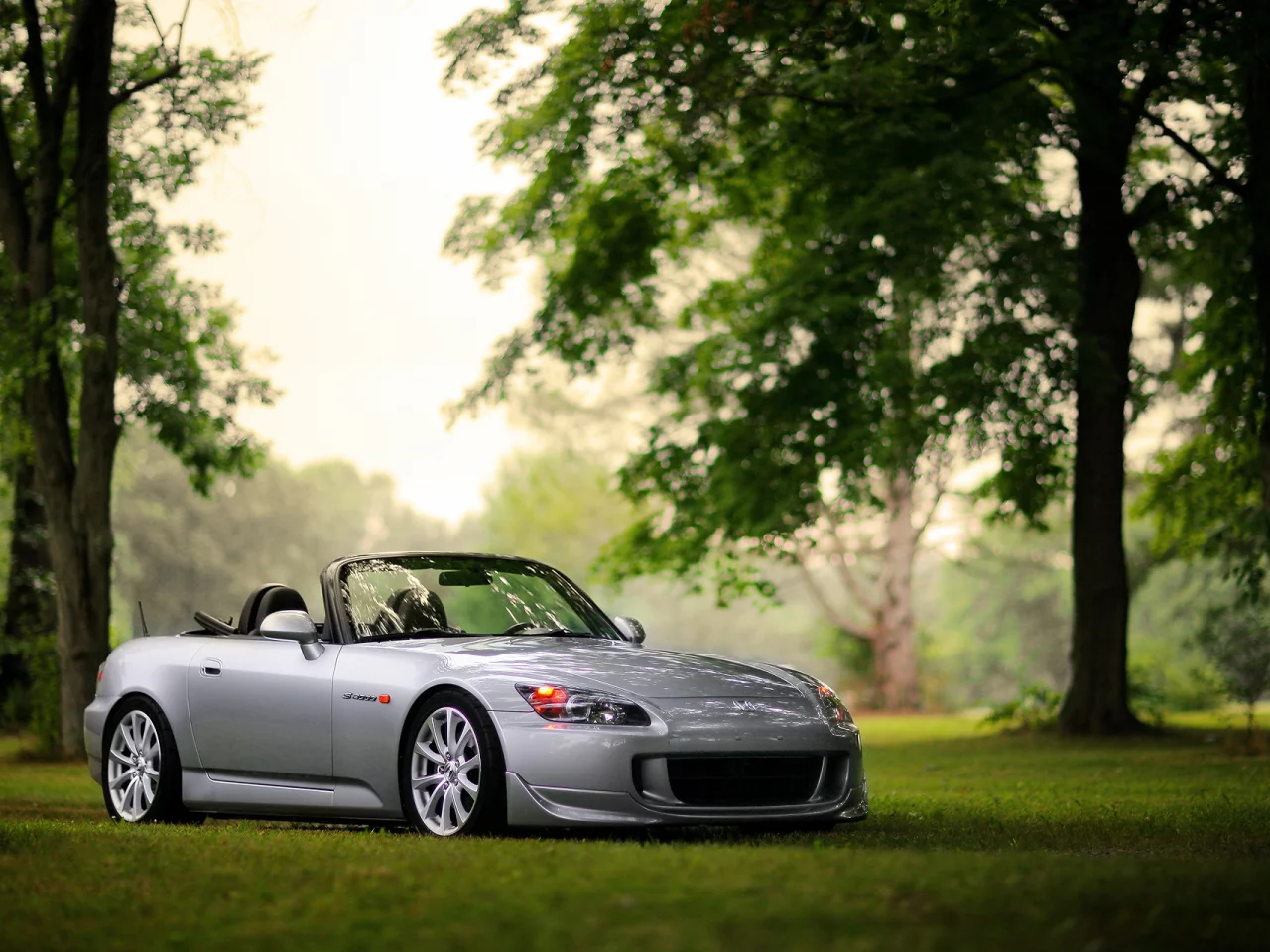 honda s2000, трава, лес, боке, хонда