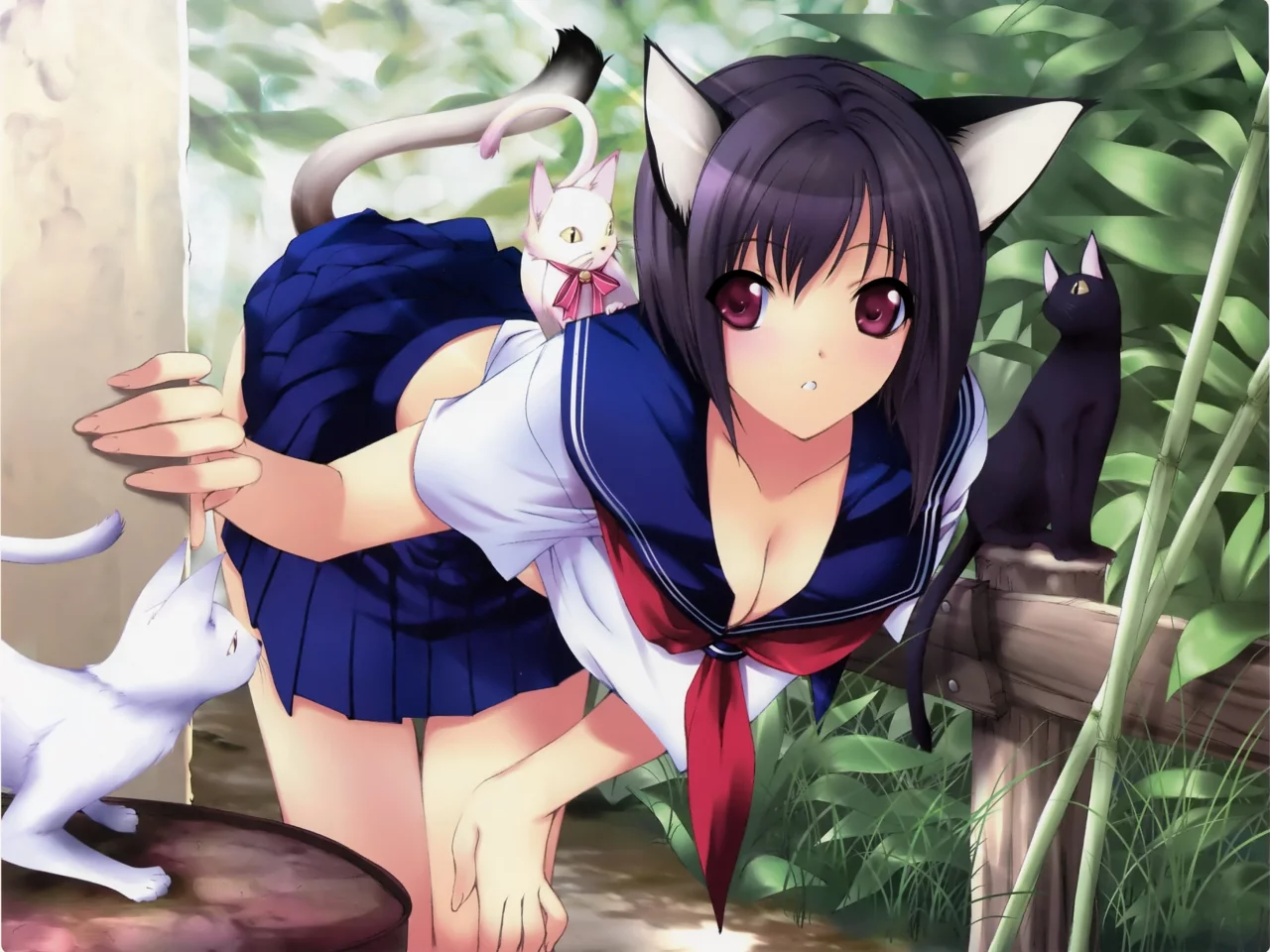 уши, форма, неко, кошки, выглядывает, девушка, iizuki tasuku, угол, хвост
