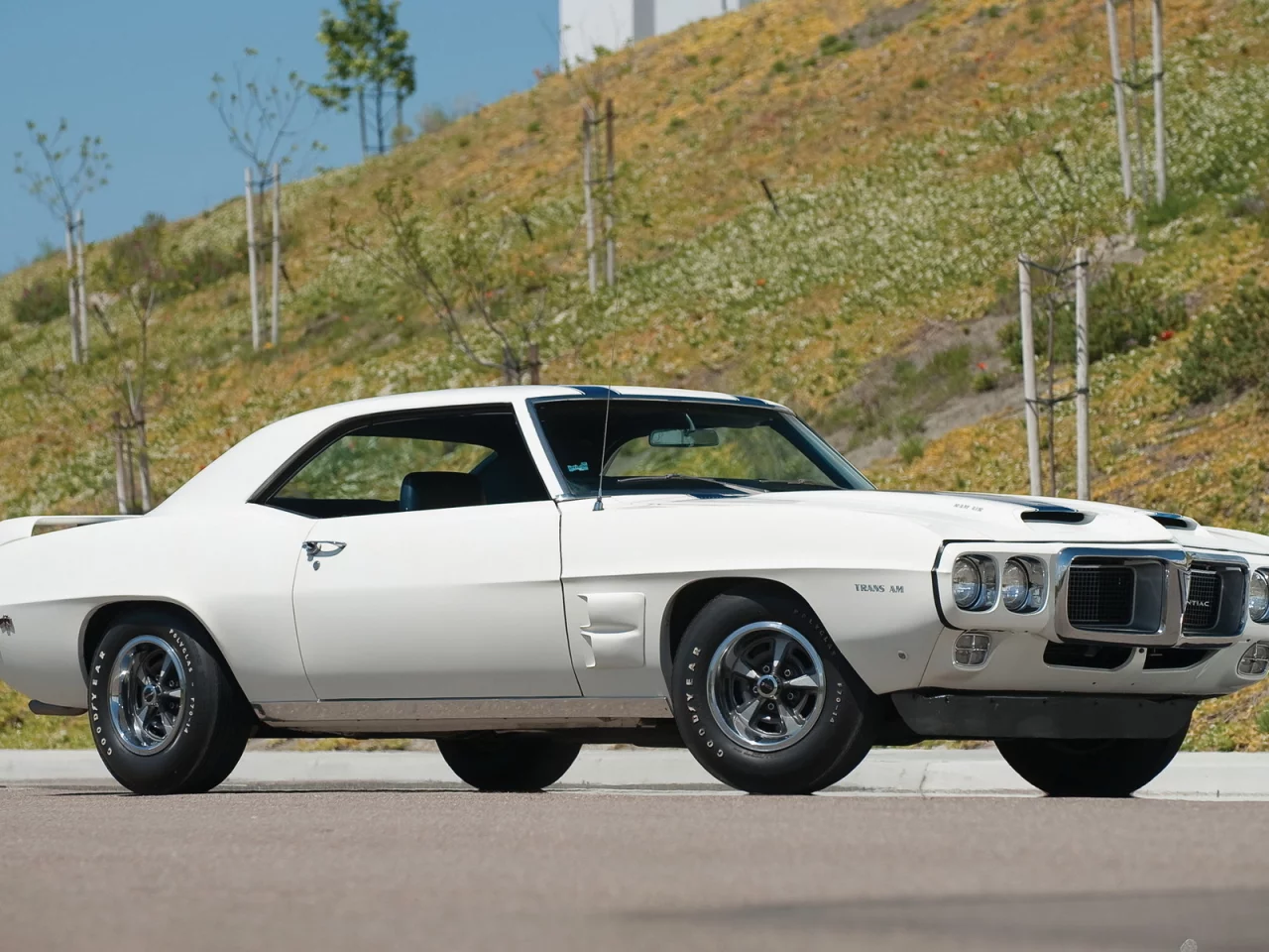 firebird, pontiac, 1969, белый, trans am, мощь
