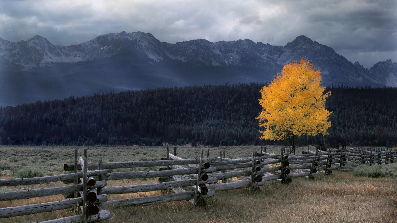 тучи, горы, nature, природа, лес, ограждение, осень, бревна, пасмурно, бревно, дерево, поляна, забор, местность, пейзаж