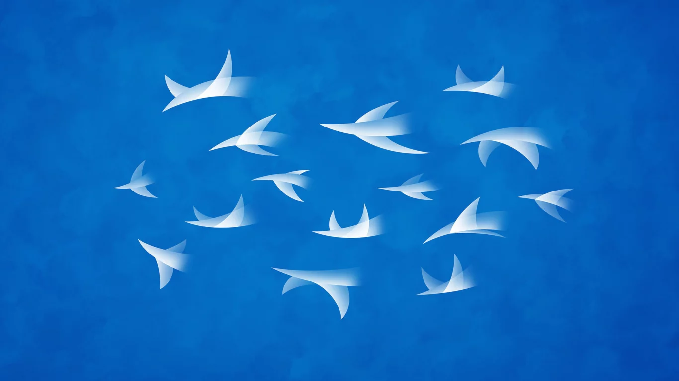 владстудио, небо, flock, полет
