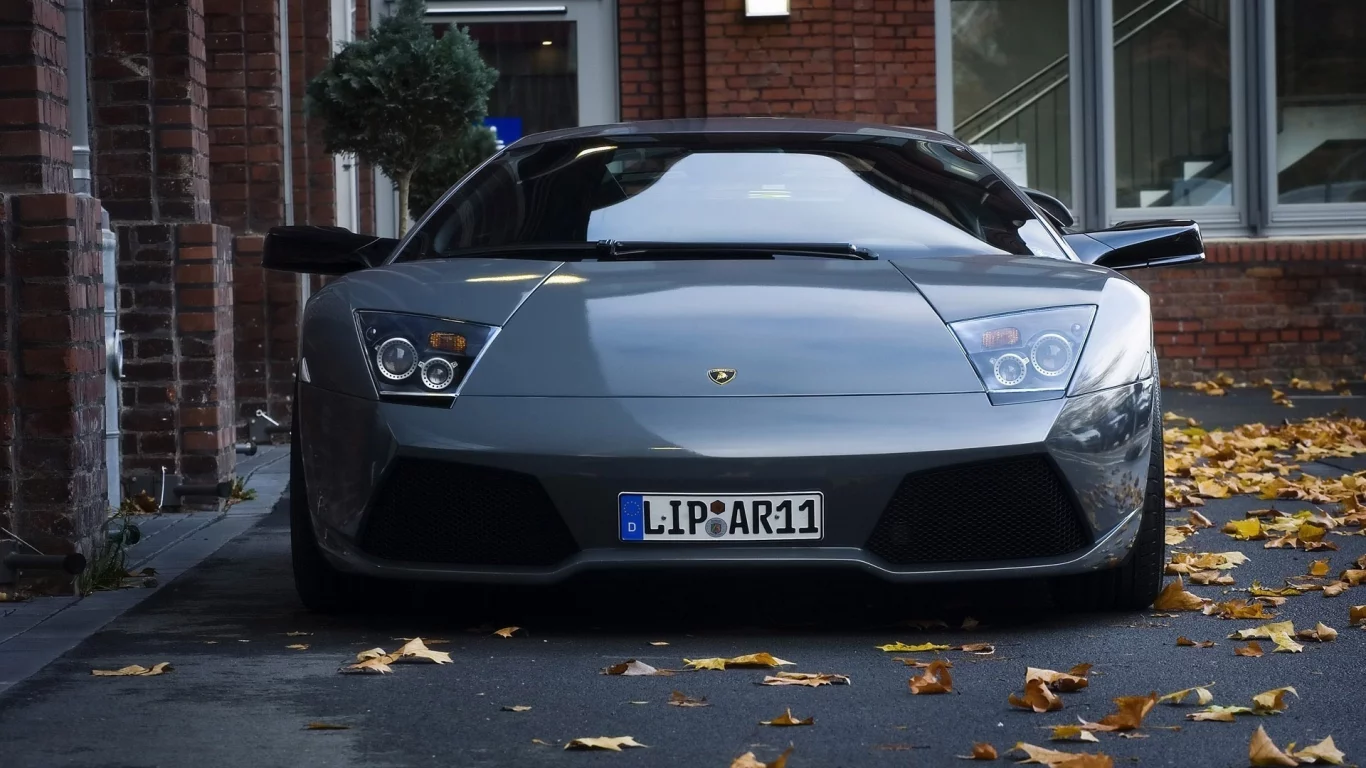 car, revenge, листья, город, lamborghini