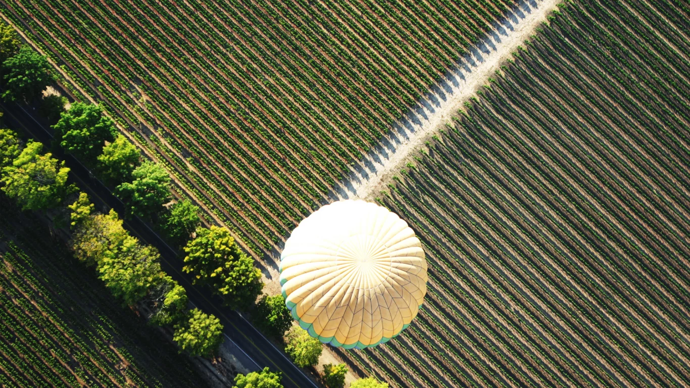 вид сверху, air baloon, baloon, поле, полет, воздушный шар, дорога