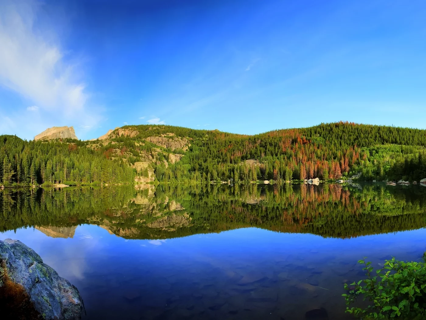 природа, озеро, лес, reflection, отражение, bear lake