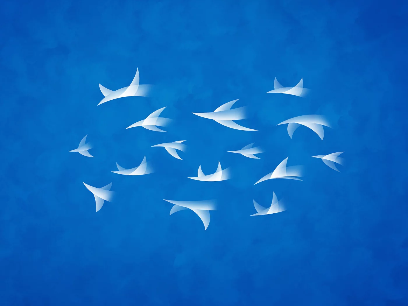 владстудио, небо, flock, полет