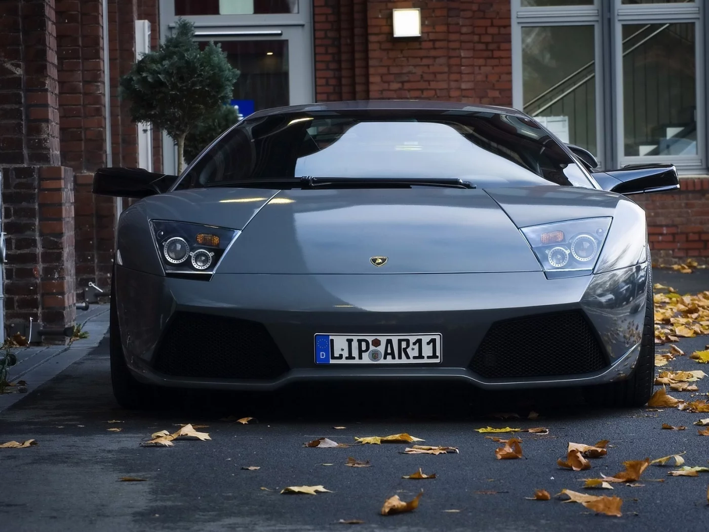 car, revenge, листья, город, lamborghini