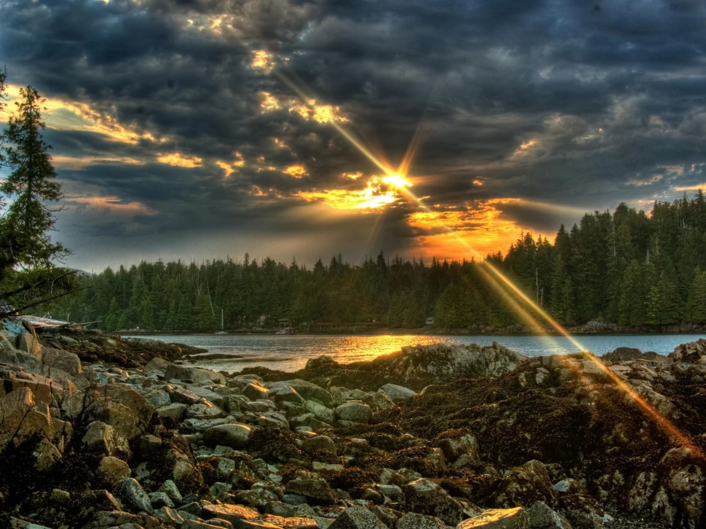 река, камни, небо, лес, закат, sunset