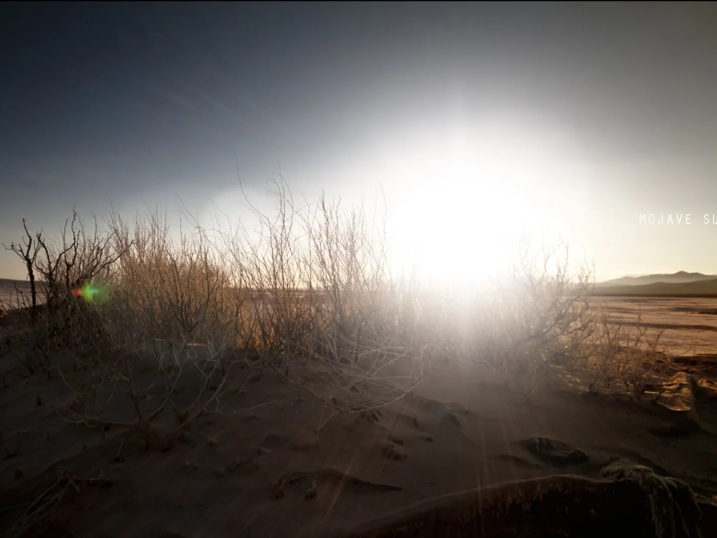 пустыня, кустарник, mojave sunset, солнце, песок, надпись, небо, закат в мохаве