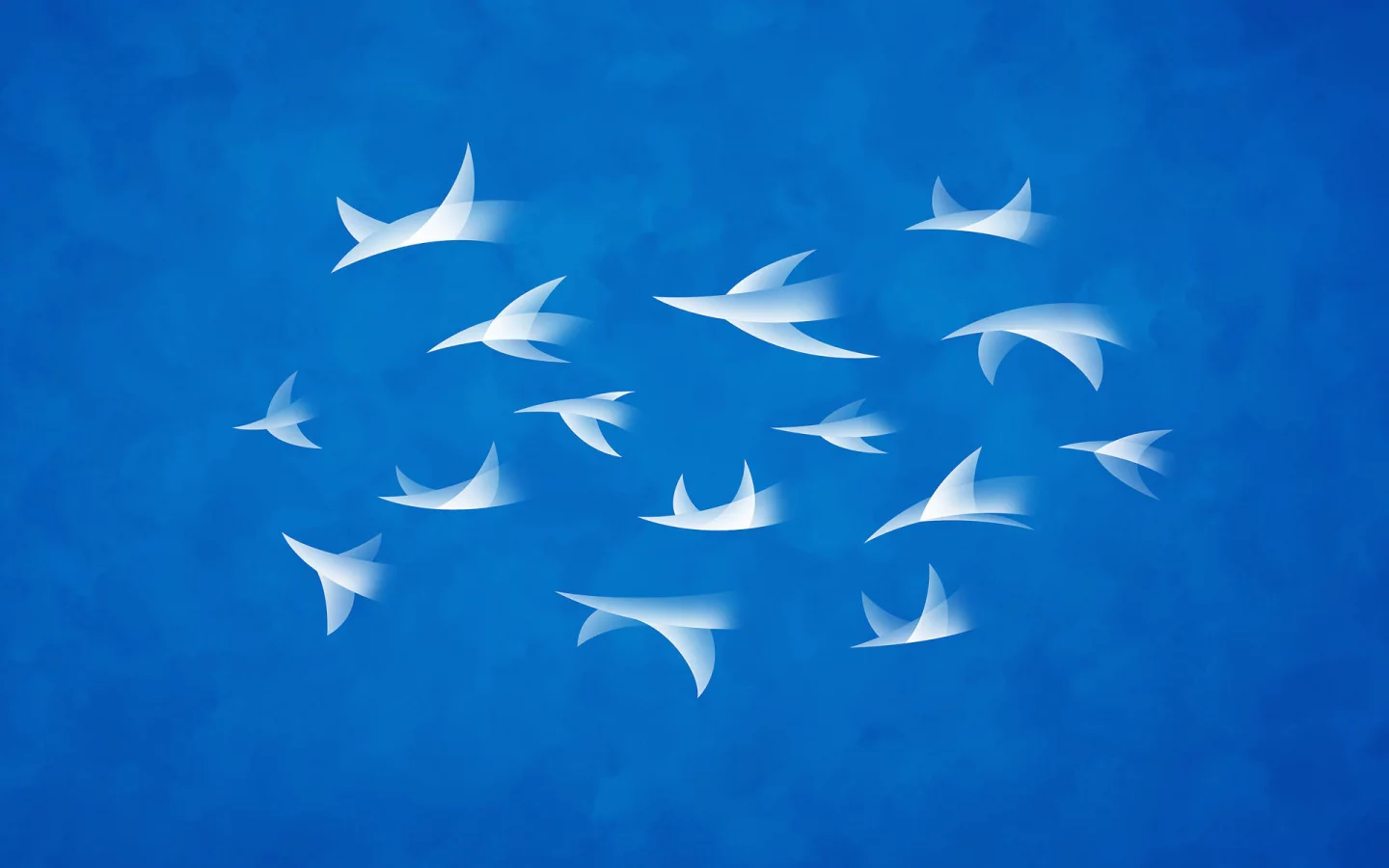 владстудио, небо, flock, полет
