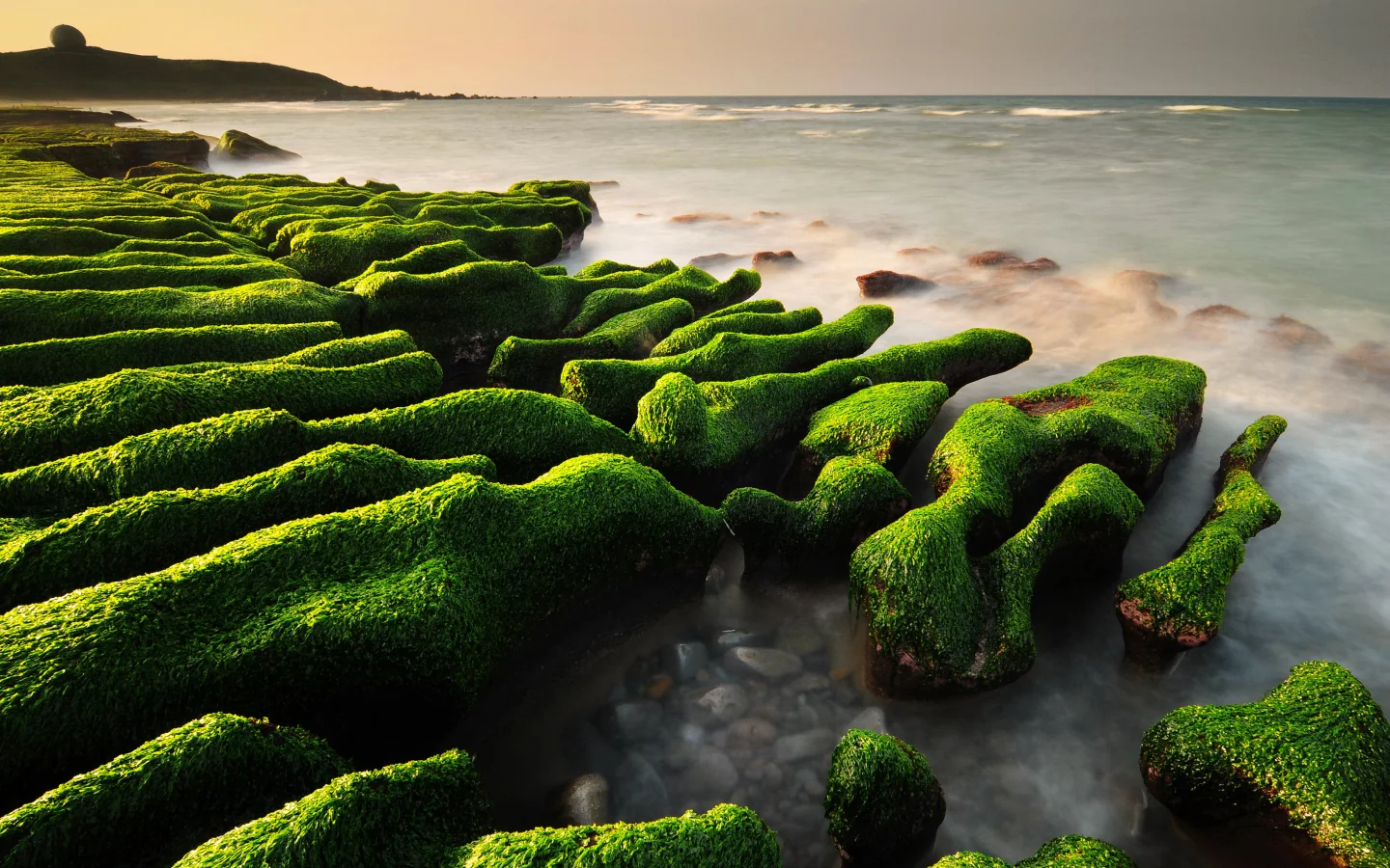 камни, водоросли, море