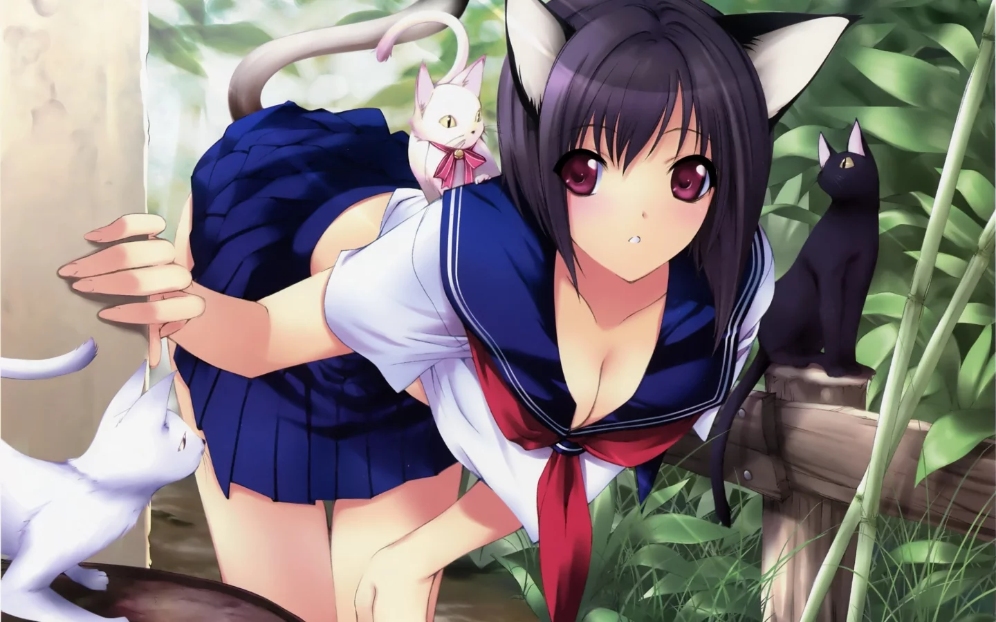 уши, форма, неко, кошки, выглядывает, девушка, iizuki tasuku, угол, хвост