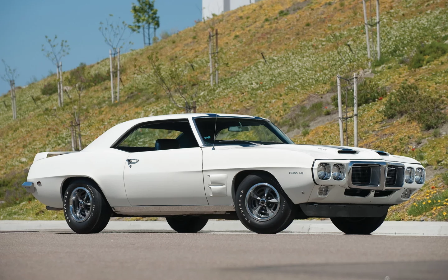 firebird, pontiac, 1969, белый, trans am, мощь