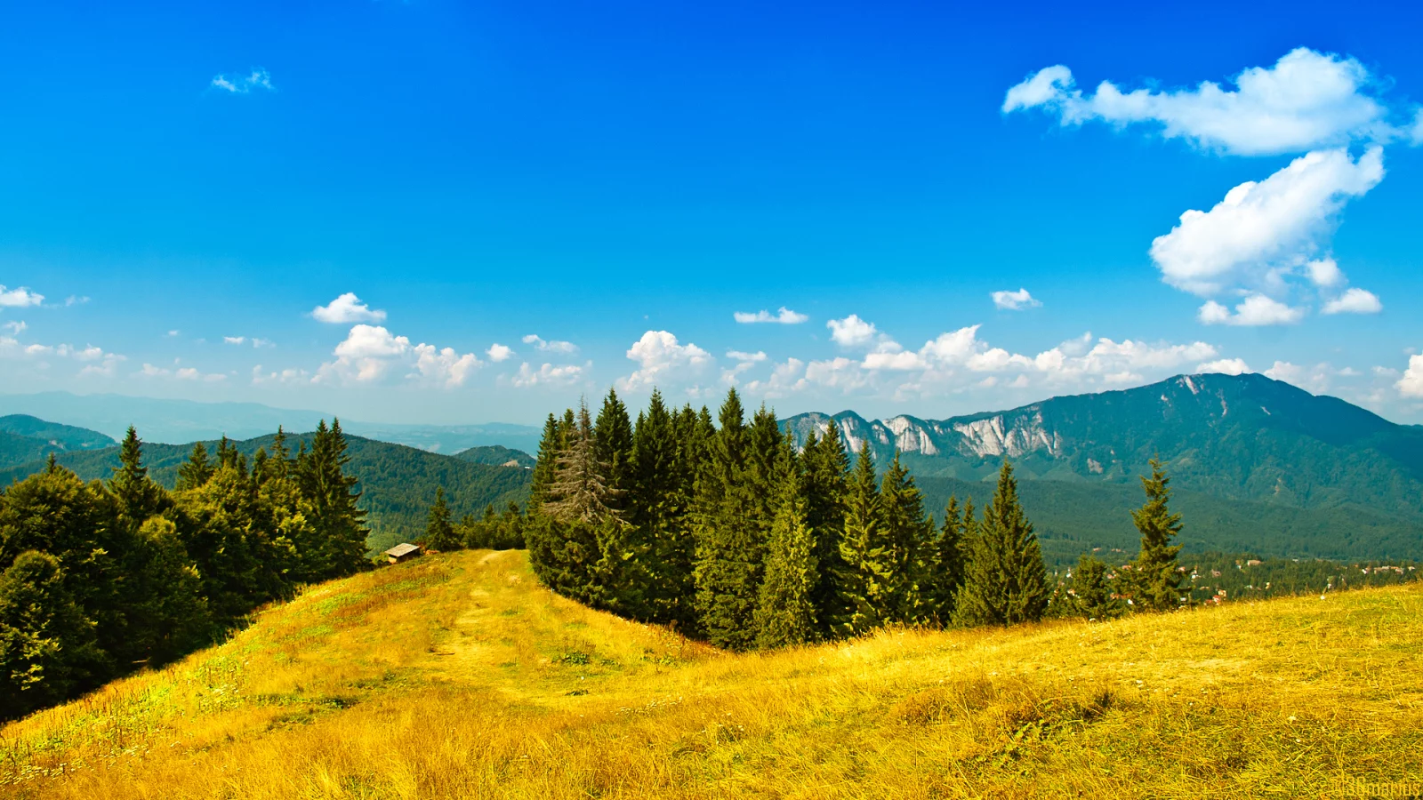 sky, пейзаж, trees, landscape, деревья, 1920x1080, зелень, облака, nature, трава, небо, mountains, greenery, лес, clouds, природа, grass, горы, forest
