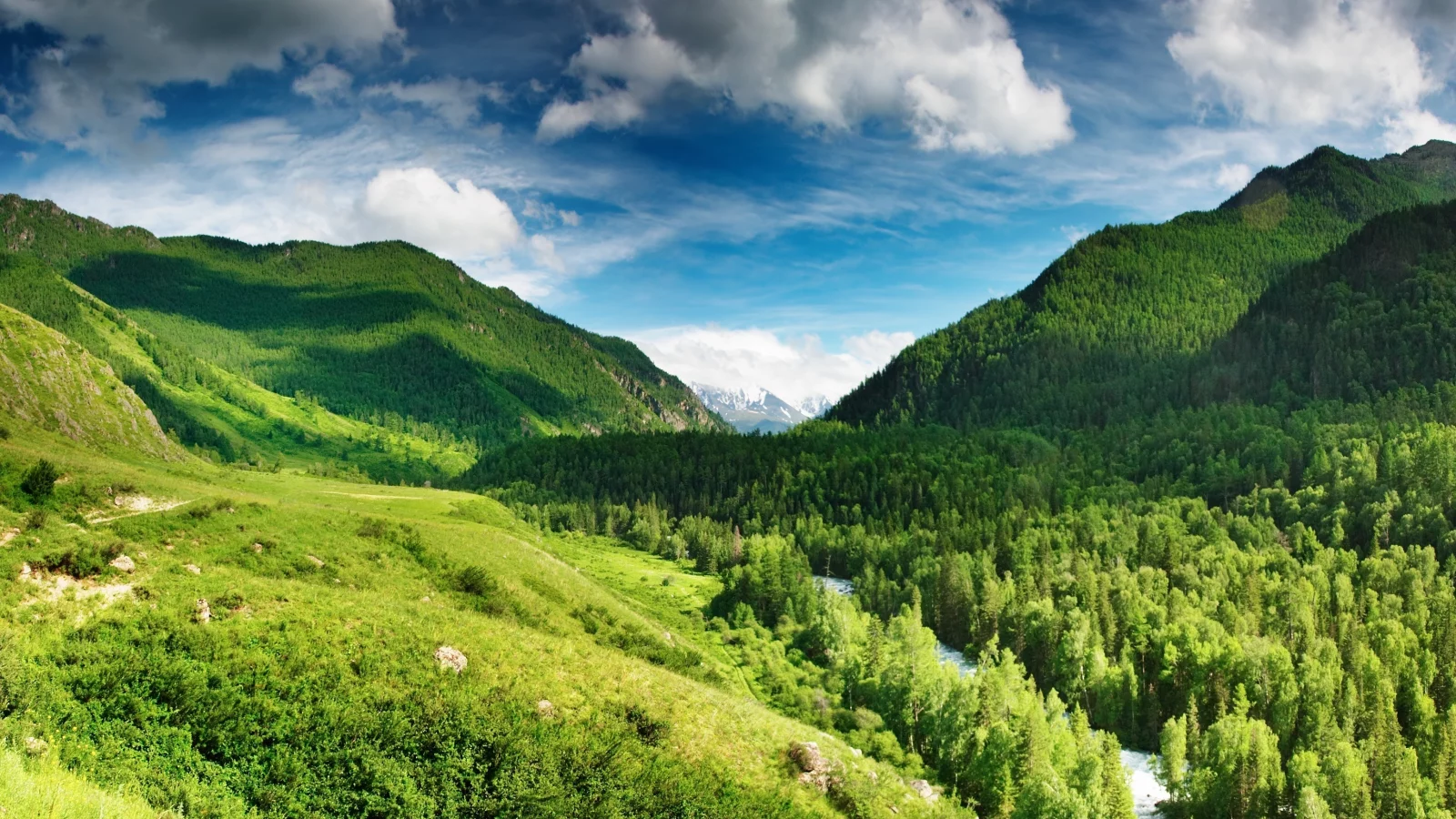 река, лес, небо, горы, голубое, green highlands, облака