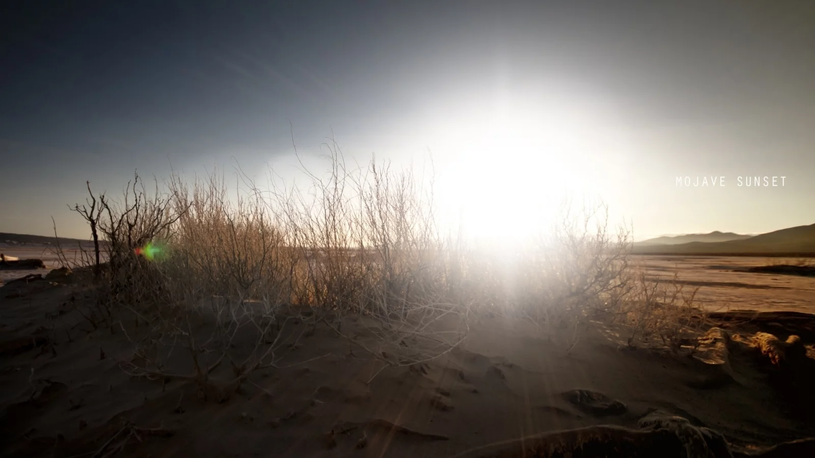 пустыня, кустарник, mojave sunset, солнце, песок, надпись, небо, закат в мохаве