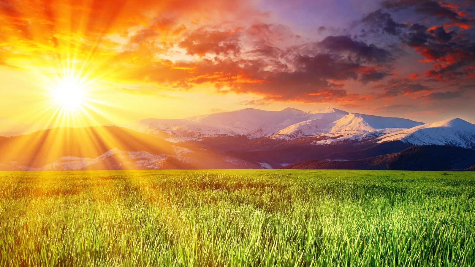 зелёный, красивое, заснеженные, луг, солнце, splendid landscape, ослепительное, небо, облака, горы