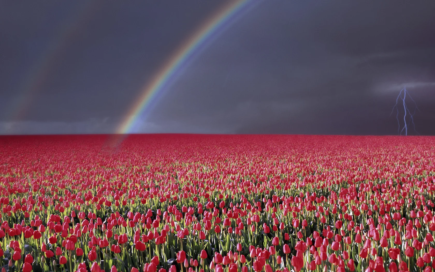wallpapers, гроза, цветы, природа, небо, радуга, молния, пейзаж