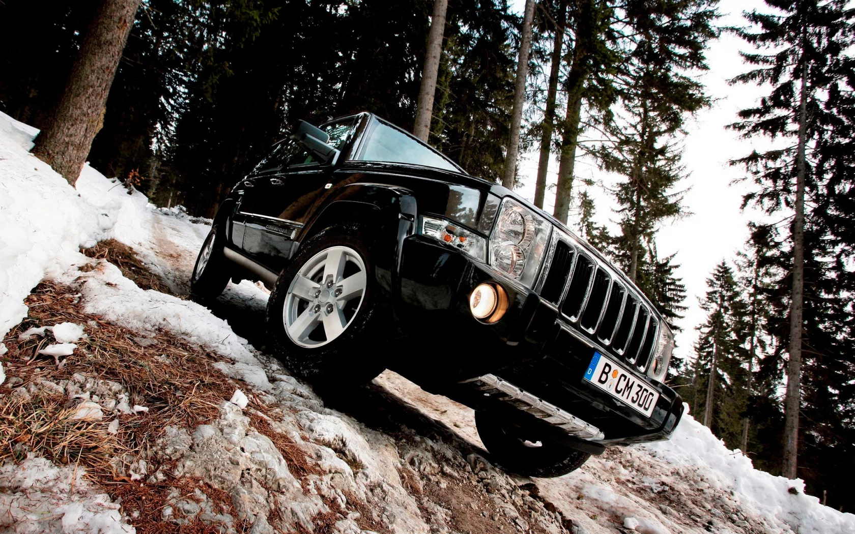 commander, лес, снег, jeep, деревья