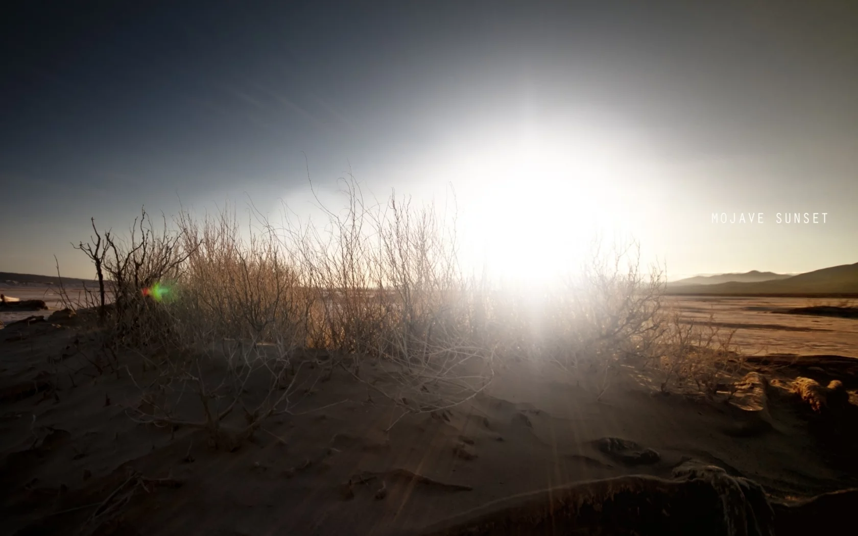 пустыня, кустарник, mojave sunset, солнце, песок, надпись, небо, закат в мохаве