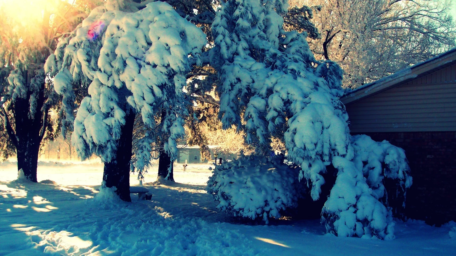 зима, природа, деревья, дом, снег, двор, сугробы, nature, пейзаж, лучи