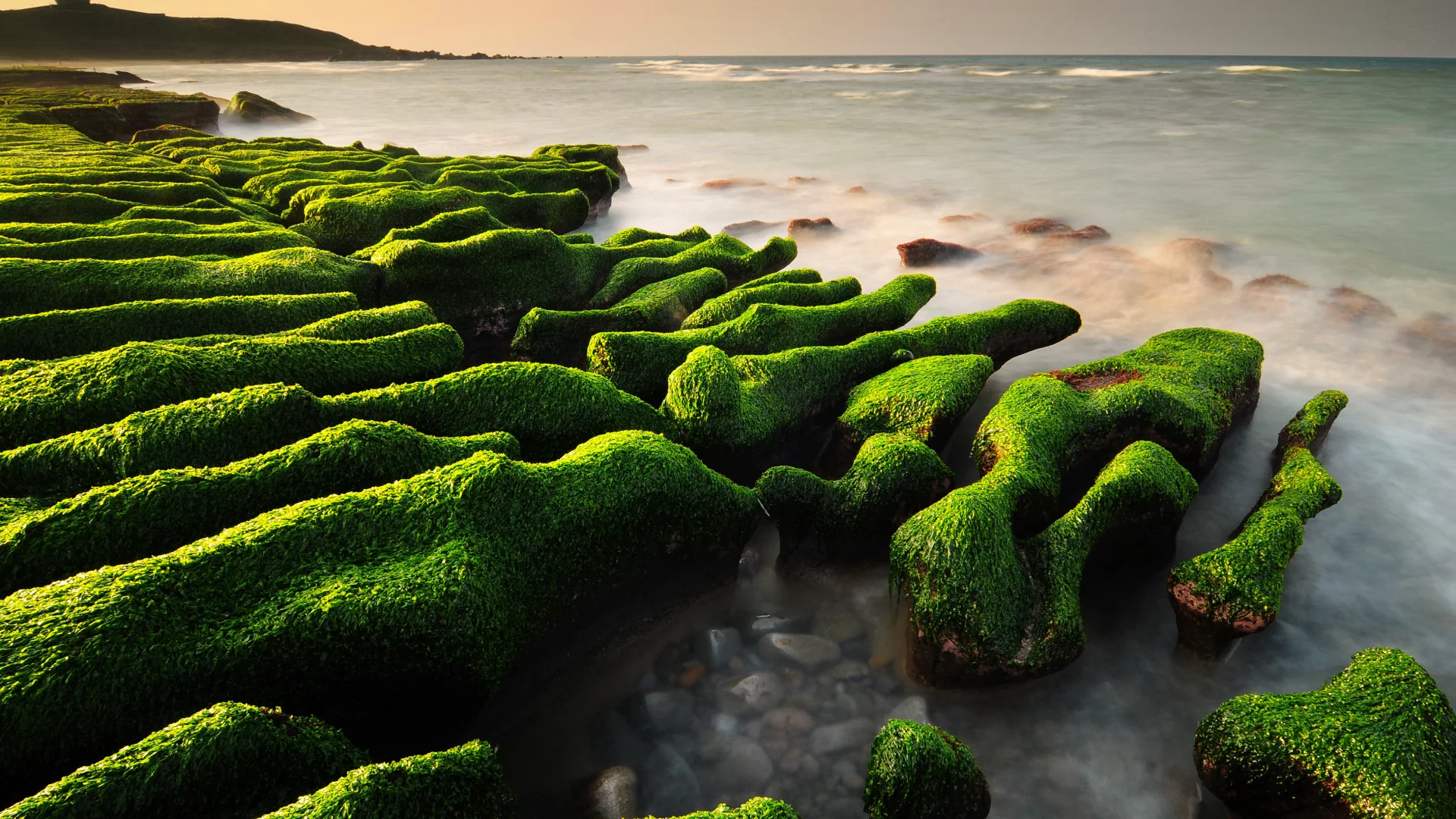 камни, водоросли, море