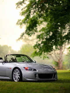 honda s2000, трава, лес, боке, хонда